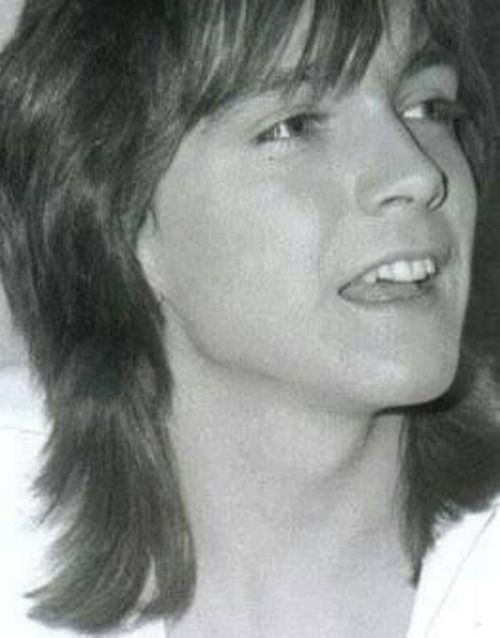 David Cassidy