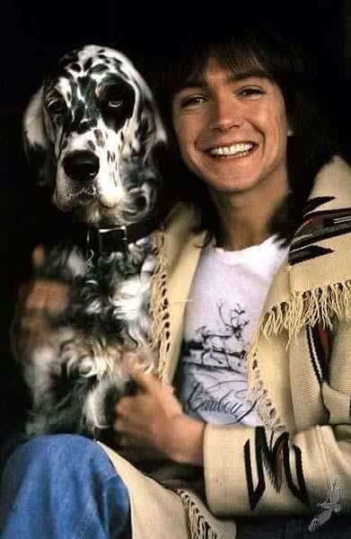 David Cassidy