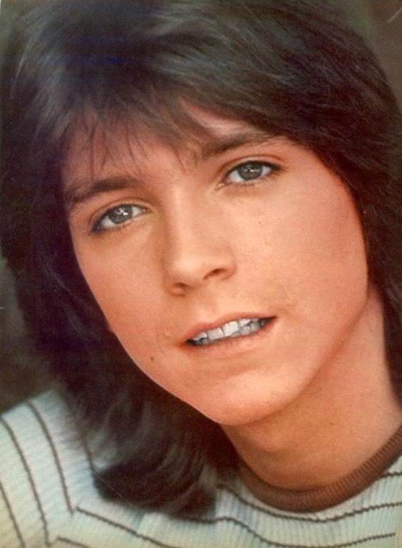 David Cassidy