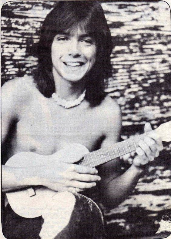 David Cassidy