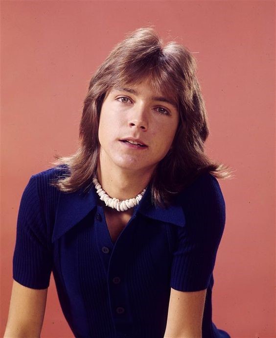 David Cassidy