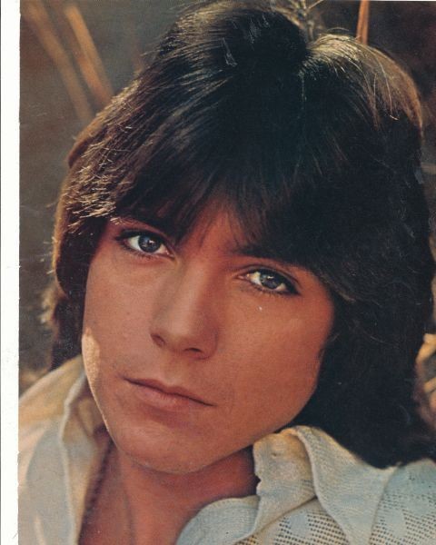 David Cassidy