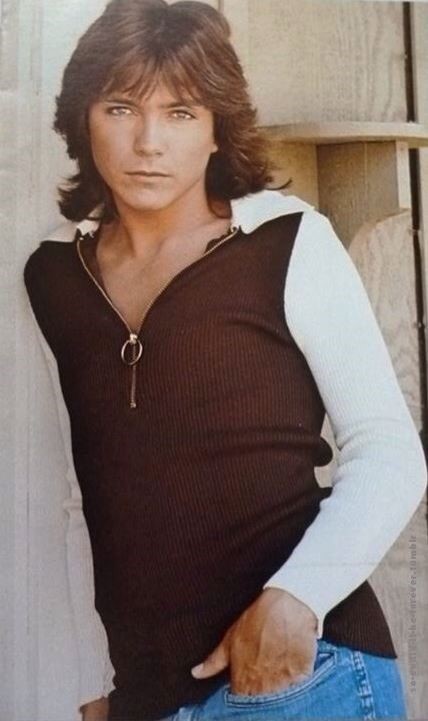 David Cassidy