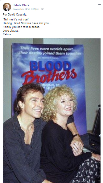 David and Petula