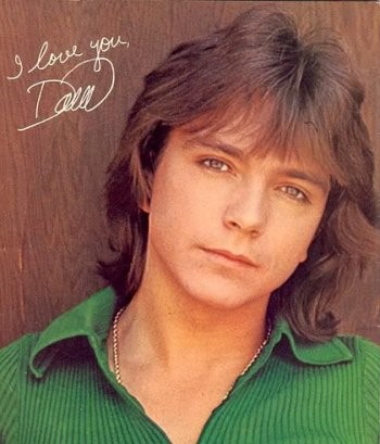 David Cassidy