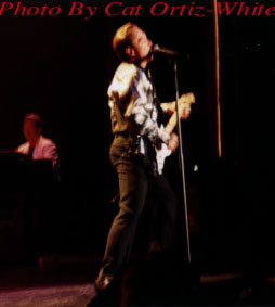 David Cassidy in