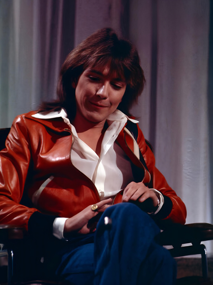 David Cassidy 1976