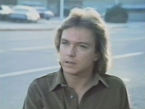 David Cassidy as Dan Shay