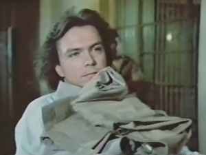 David Cassidy as Dan Shay