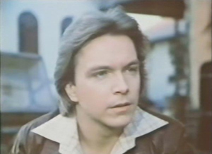 David Cassidy as Dan Shay