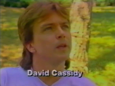 David 1984