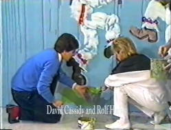 Wide Awake Club Picture