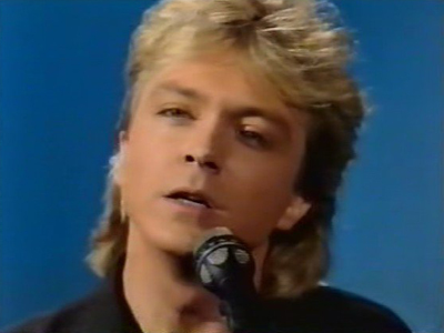 David Cassidy on Na Sowas