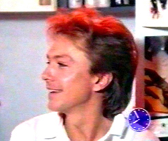 David Cassidy in Freizeit Revue