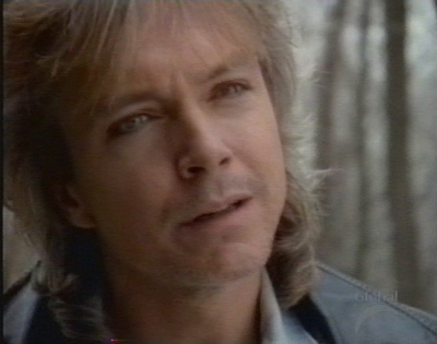 David Cassidy as Joey Mitchell