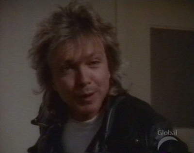 David Cassidy as Joey Mitchell