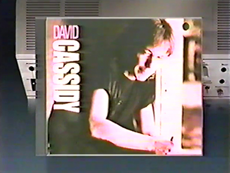 David Cassidy 1990