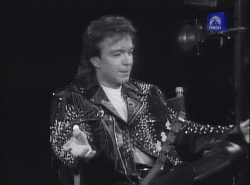 David Cassidy on Blossom