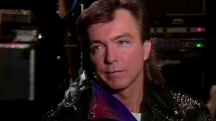 David Cassidy 1991