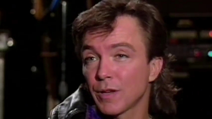 David Cassidy 1991