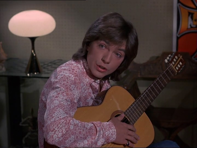 David Cassidy