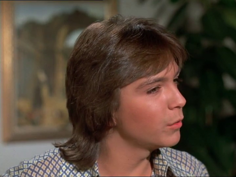 David Cassidy