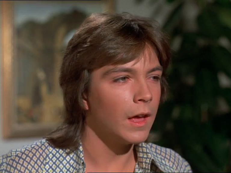 David Cassidy