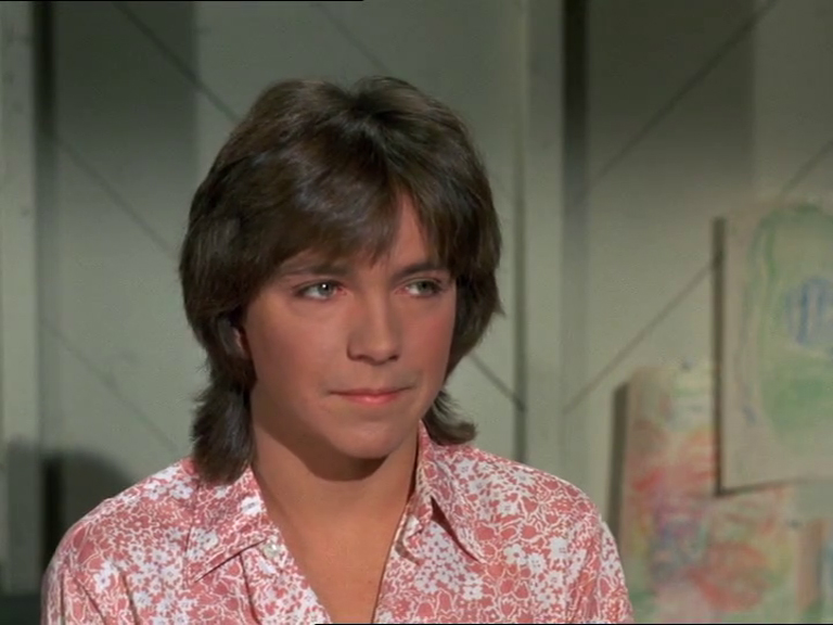 David Cassidy