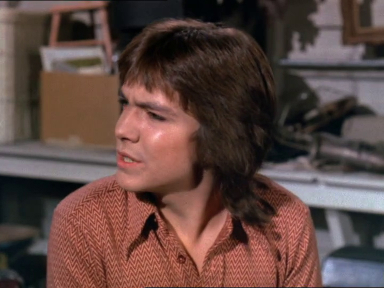 David Cassidy