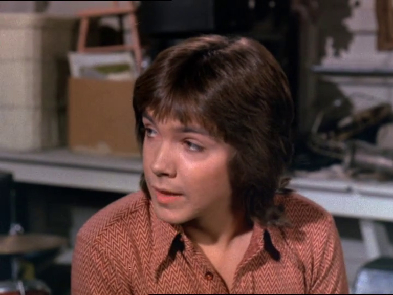 David Cassidy