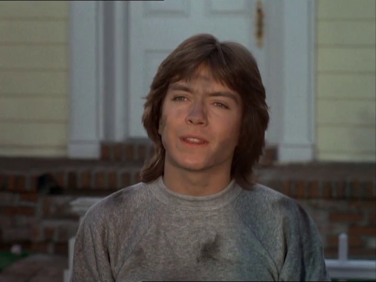 David Cassidy