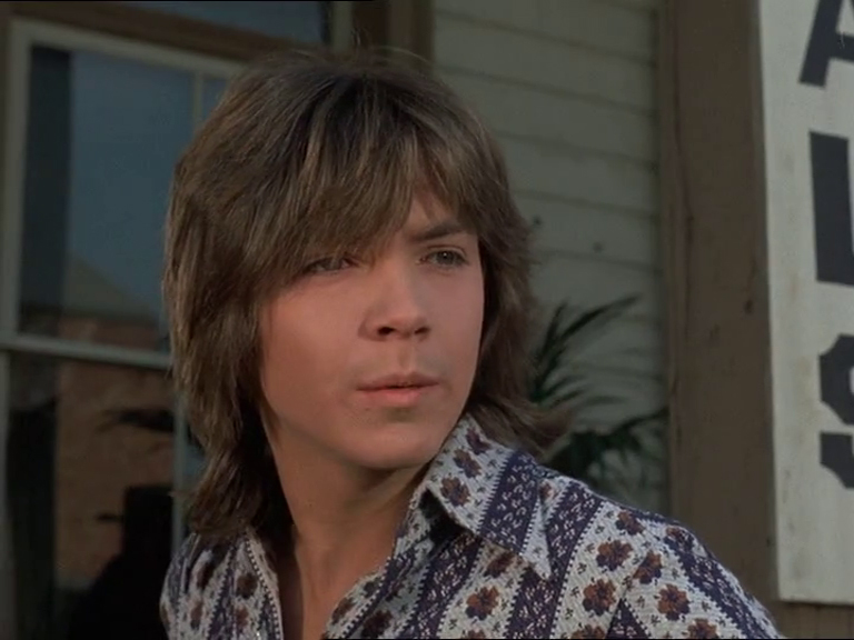 David Cassidy