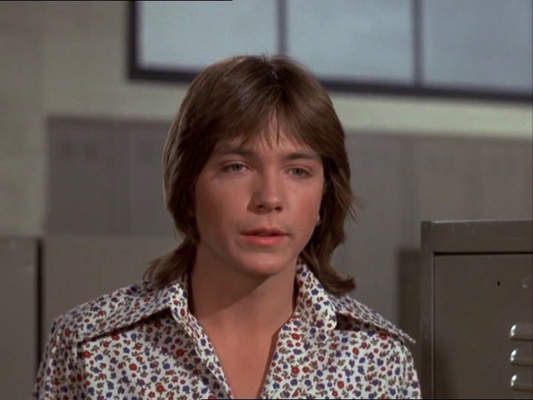 David Cassidy