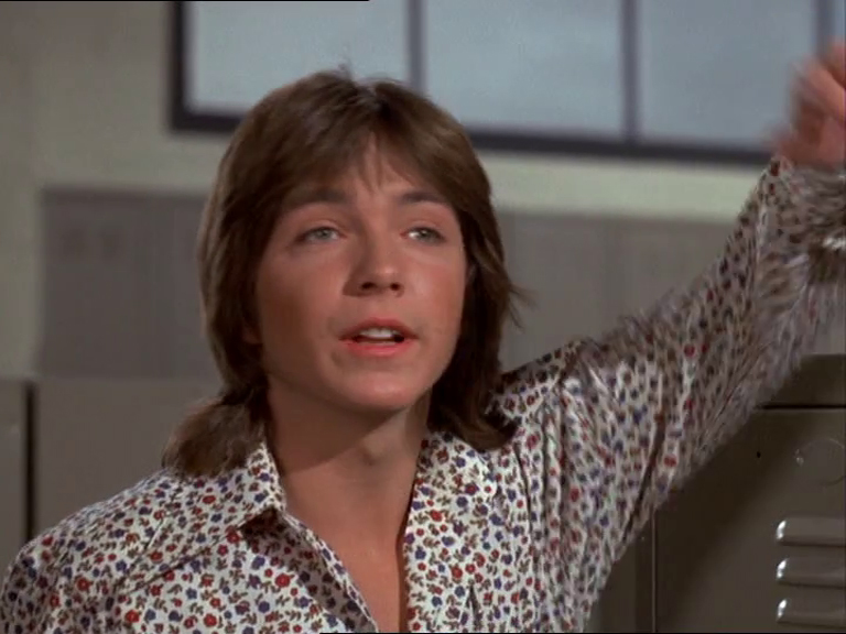 David Cassidy