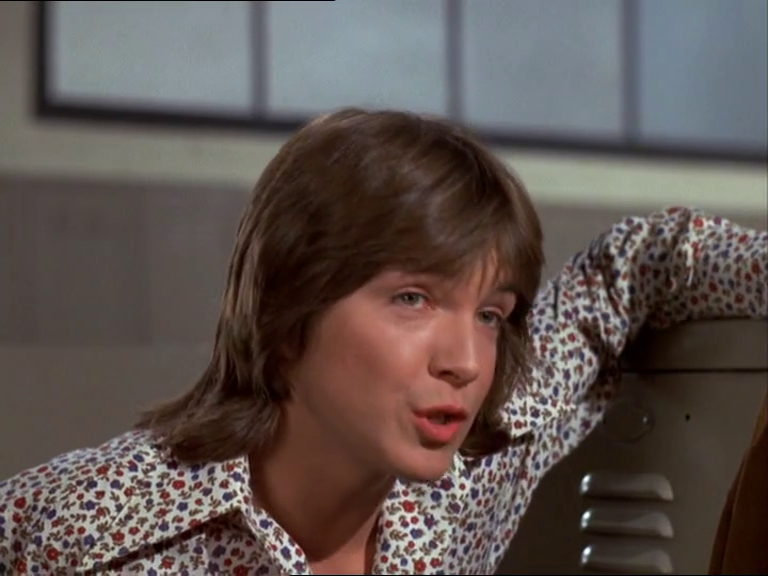 David Cassidy