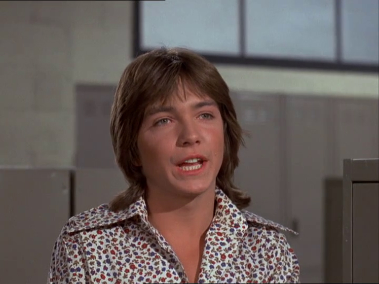 David Cassidy