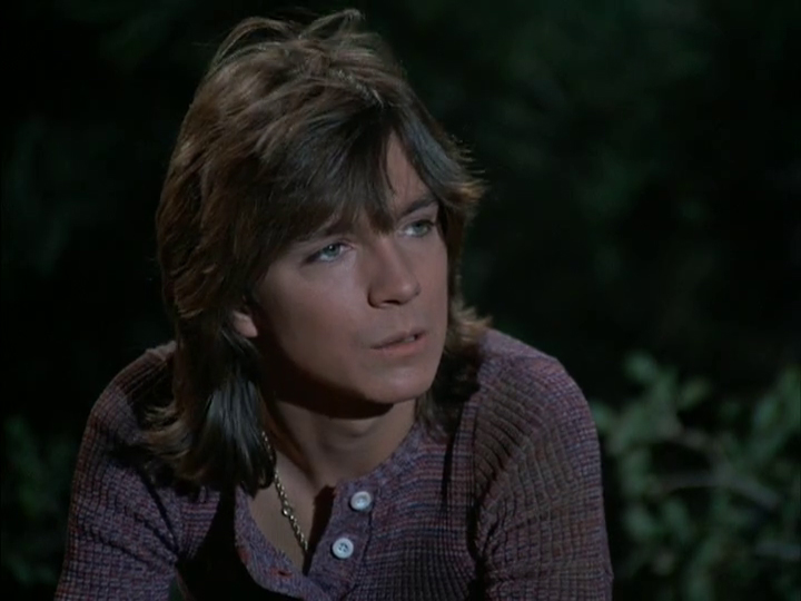 David Cassidy