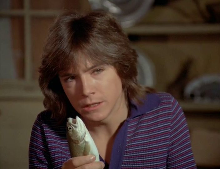 David Cassidy