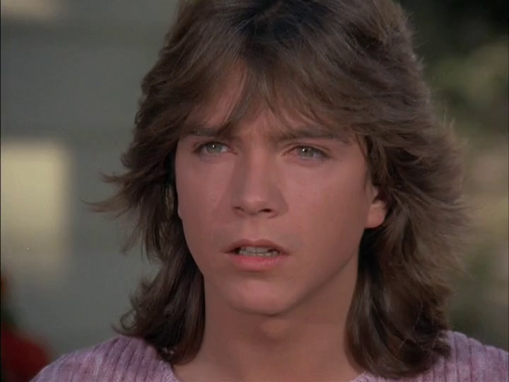 David Cassidy