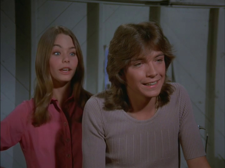 David Cassidy