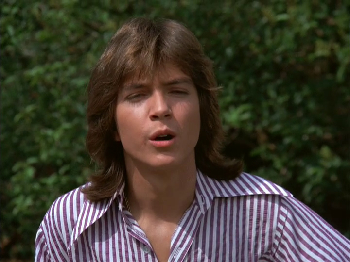 David Cassidy