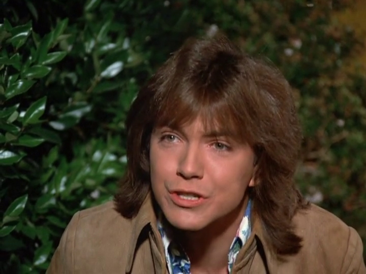 David Cassidy