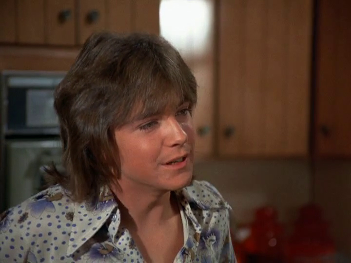 David Cassidy