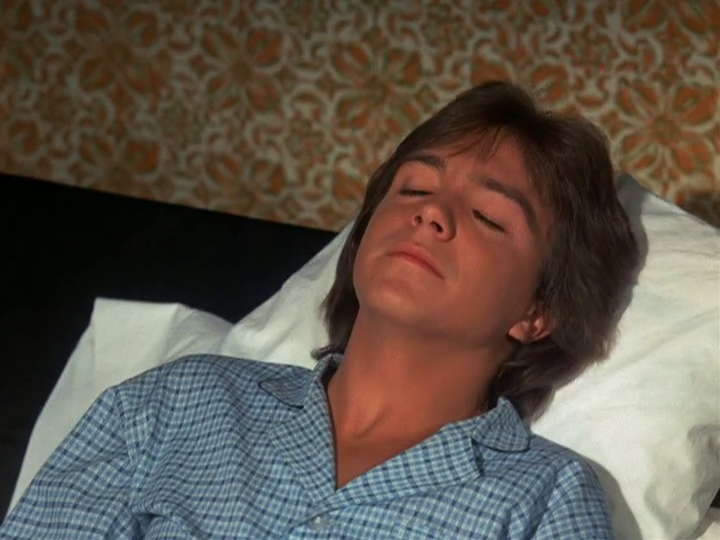 David Cassidy