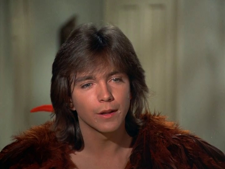 David Cassidy