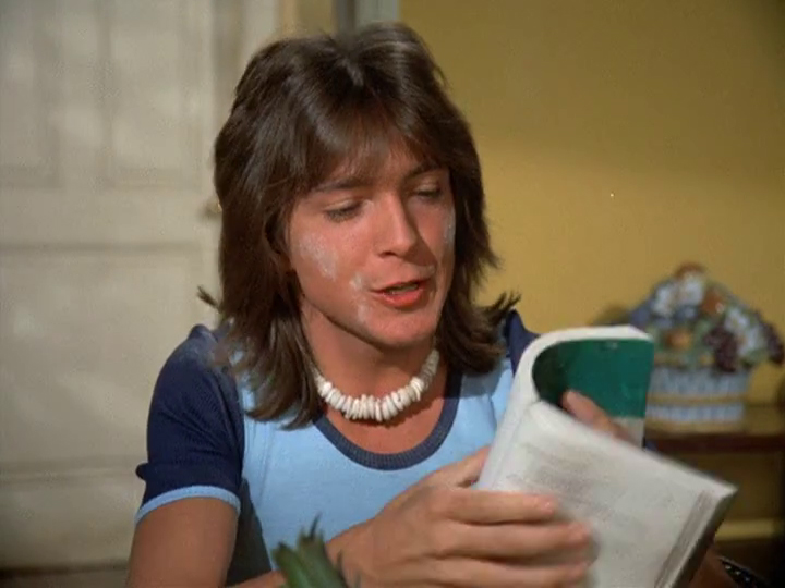 David Cassidy