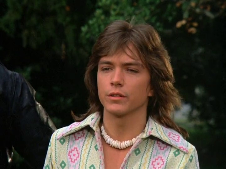 David Cassidy