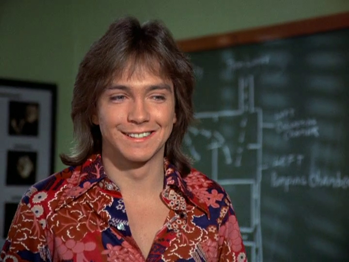 David Cassidy