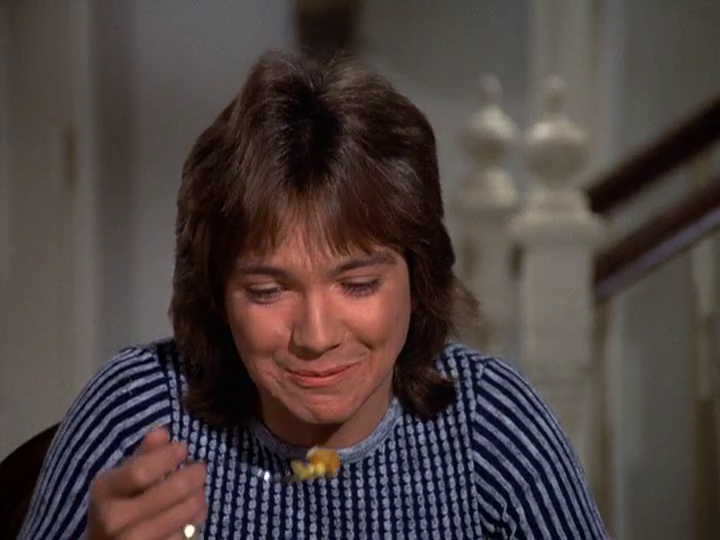 David Cassidy