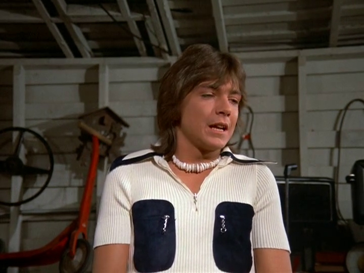 David Cassidy